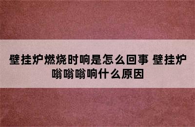 壁挂炉燃烧时响是怎么回事 壁挂炉嗡嗡嗡响什么原因